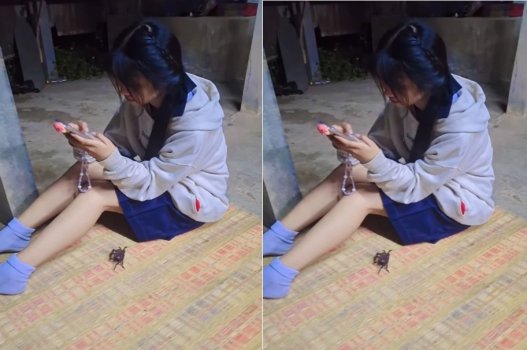 sex việt lỗ nhị Em sinh viên 2k4 mình dây nói nhớ chim anh